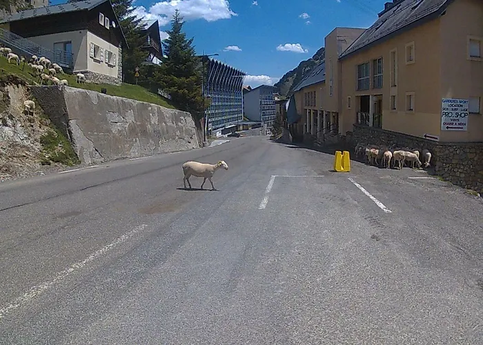 Апартаменты Cerisema Pyrenees Zenith